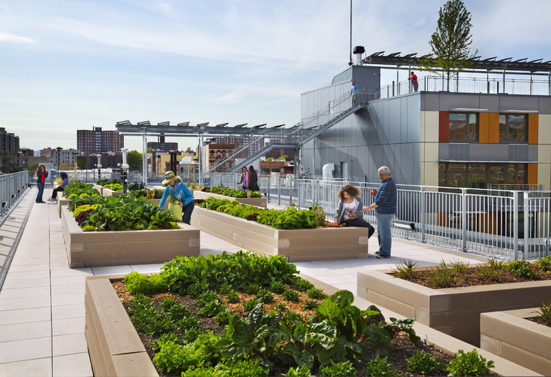 Rooftop Community Garden  
